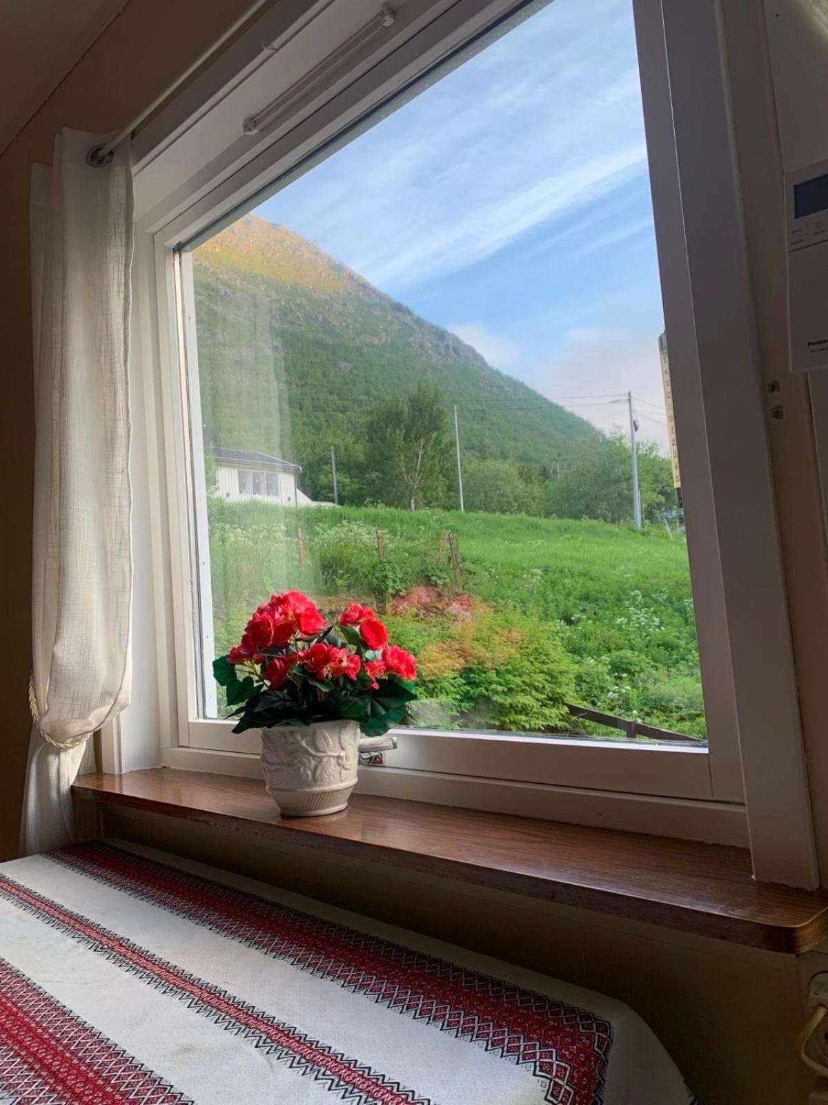 Apartmán House Gryllefjord Exteriér fotografie